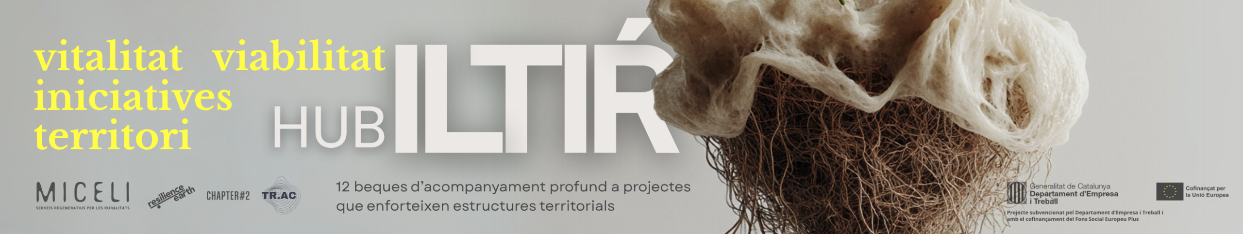 BAnners ILTIR HUB