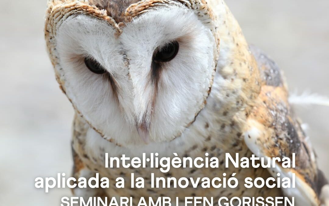 Seminari: Intel·ligència Natural aplicada a la Innovació Social